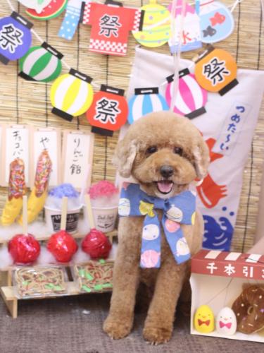 20240717ジョンくん